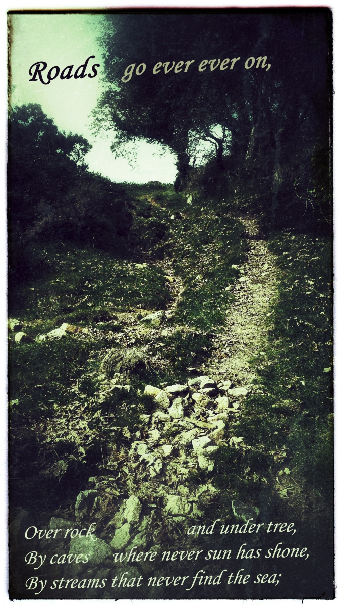 rocky pathway